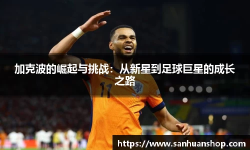 九州酷游平台